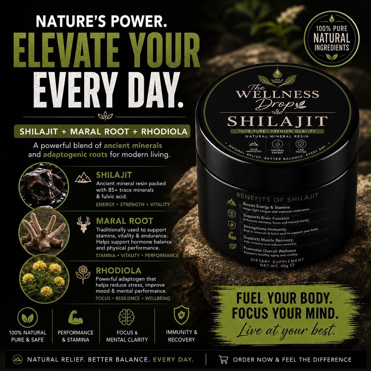 .Himalayan Shilajit, Maral Root + Rhodiola — Natural Daily Support